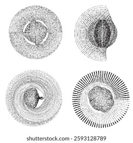 Rough lines in Circle Form . Rotate rounded shape Vector Illustration .Rotating circles form a ring.Rotating design element . Various circle lines forming round frame . Abstract Geometric line art .