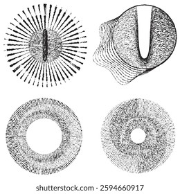 Rough lines in Circle Form . Rotate rounded shape Vector Illustration .Rotating circles form a ring.Rotating design element . Various circle lines forming round frame . Abstract Geometric line art .