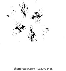 Rough, scratch, splatter grunge pattern design brush strokes. Overlay texture. Faded black-white dyed paper texture. Sketch grunge design. Use for poster, cover, banner, mock-up, stickers layout.