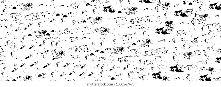 Rough, scratch, splatter grunge pattern design brush strokes. Overlay texture. Faded black-white dyed paper texture. Sketch grunge design. Use for poster, cover, banner, mock-up, stickers layout.
