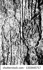 Rough, scratch, splatter grunge pattern design brush strokes. Overlay texture. Faded black-white dyed paper texture. Sketch grunge design. Use for poster, cover, banner, mock-up, stickers layout.
