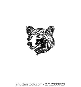 Rough sketch of a Bear head illustration
