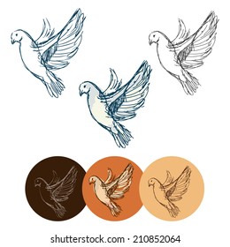 rough sketch dove of peace isolated on white background