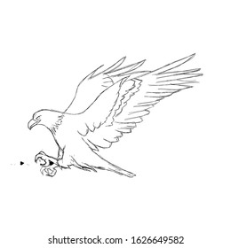 rough sketch of an illustration of an eagle