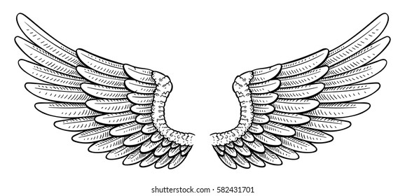 Rough sketchy vector open white wings illustration. Simple hand drawn angel or dove wings tattoo.