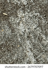 Textura áspera del suelo con partículas blancas