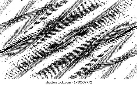 Rough texture. Worn down wallpaper pattern design. Broken plaster grunge damask effect. Distressed overlay texture design. Vector illustration. Eps10.