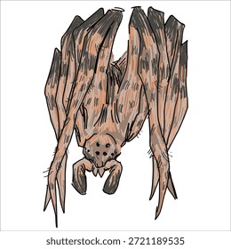 Rough Twig Spider. Poltys illepidus. Farbige, handgezeichnete Vektorgrafik. Malerisch. Einzigartige, detaillierte Stilisierung. Druck auf Skizzenbüchern, Aufklebern, Postkarten, Tassen, Kleidung, Postern. Biologisch.
