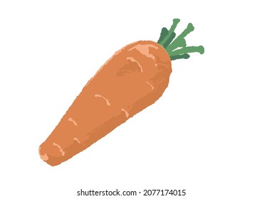 Rough and warm touch carrot illustration