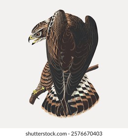 Rough-legged falcon bird sticker, vector bird animal element. Vintage bird animal art drawing illustration, old painting art print vector. Isolated vintage animal illustration.