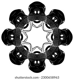 Round animal mandala of frame with walrus heads. Odobenus rosmarus. Black and white silhouette.