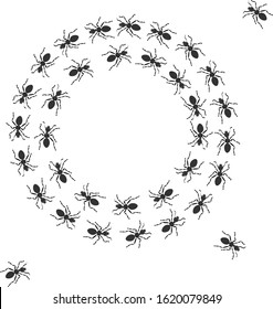 round ant ornament pattern background