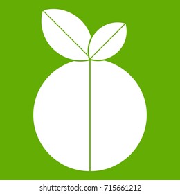 Round apple icon white isolated on green background. Vector illustration