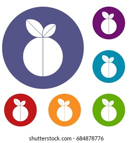 Round apple icons set