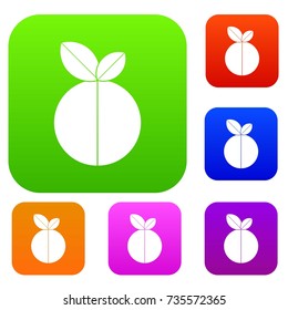 Round apple set icon color in flat style isolated on white. Collection sings vector illustration