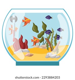 Rundaquarium mit Fischen und Algen. Vektorgrafik einzeln auf weißem Hintergrund.