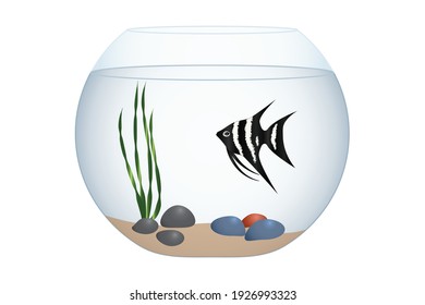 Round aquarium or fishbowl and exotic fish isolated on white, vector illustration