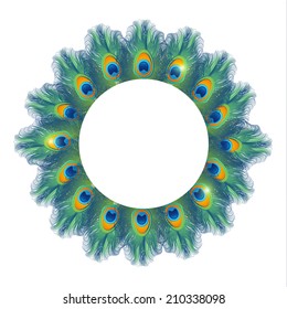Round background with peacock feathers isolated on white, vector illustration