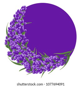 round background for text of purple lavender flowers in watercolor style.