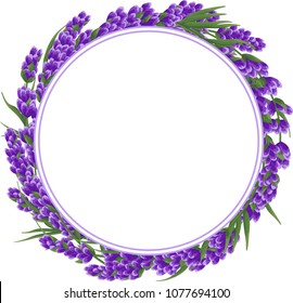 round background for text of purple lavender flowers in watercolor style.