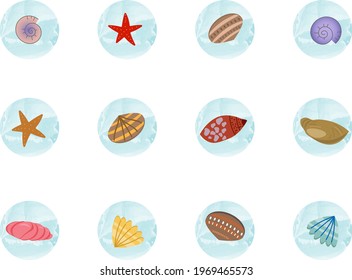 Round badges for social media covers with seashells. Vector illustration. Set of botanical icon templates for blog design.