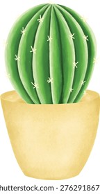Round Barrel Cactus with Sharp Spines and Ribbed Texture