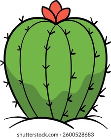 Round barrel cactus with vertical ridges, small black spines, and a red flower on top