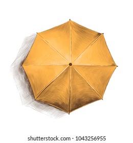 round beach umbrella top view, sketch vector graphics colored drawing