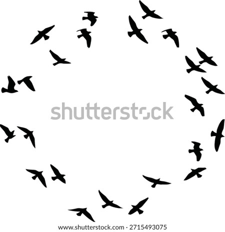 Round Bird Flock Silhouette Frame on White