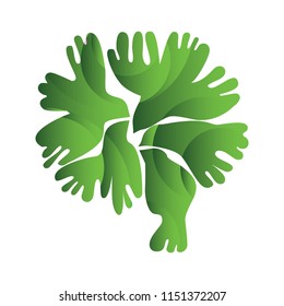 Round birds logo.Abstract sign design. Vector brand template. Modern eco symbol
