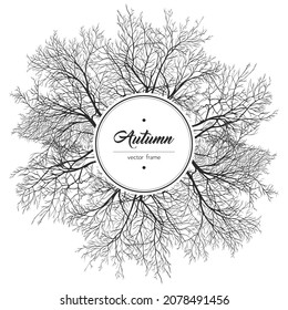Marco redondo de árbol blanco y negro. Ilustración del vector