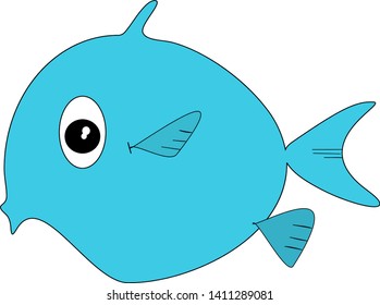 round blue fish with big eyes and big lips