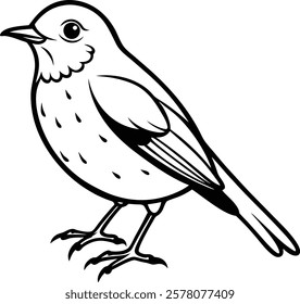 A round bodied robin perched with a tilted head.