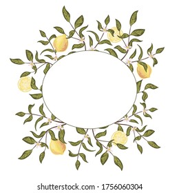 Round botanical frame with lemons and flowers. Vector hand drawn illustration. Isolated on white. Perfect for wedding invitations, greeting cards, natural cosmetics, prints, posters, packing and tea.