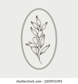 Round botanical logo frame with decorative branch of olive in boho style. Simple contour vector illustration for packaging, corporate identity, labels, postcards, invitations.