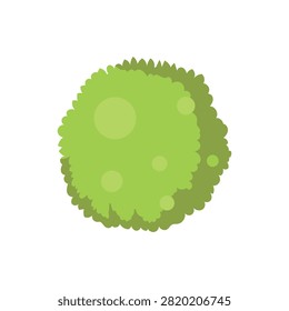 Round Boxwood Topiary Tree Isolated Vector 