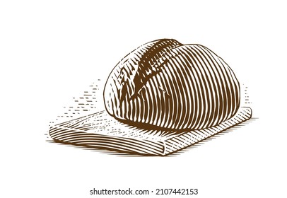 round bread Hand drawing sketch engraving illustration style