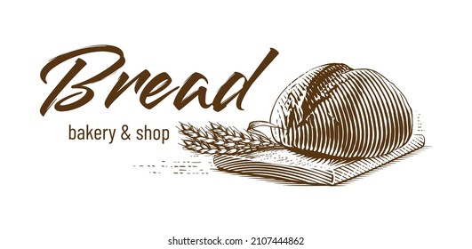 round bread Hand drawing sketch engraving illustration style