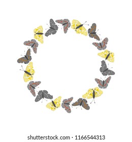 Round butterfly frame, vector illustration.