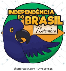 Round button with cute, blue hyacinth macaw over a round button and scroll with reminder date promoting Brazil Independence Day celebration (written in Portuguese).