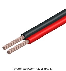 Round cable with two insulated copper conductors. 3D isometric style, vector illustration.