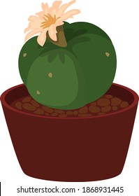Cactus redondo, ilustración, vector sobre fondo blanco.
