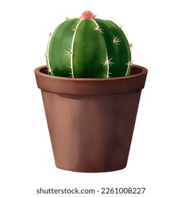 Round Cactus in a Plant Pot Isolated Detailed Hand Drawn Painting Illustration