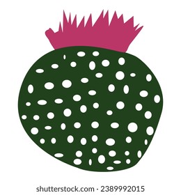 Round cactus plant vector illustration