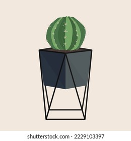 A round cactus in a pot and a black geometric shape metal frame. Interior design element, vector isolated.