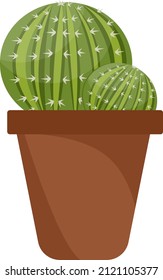 Cactus redondeados en la olla, ilustración, vector sobre un fondo blanco.
