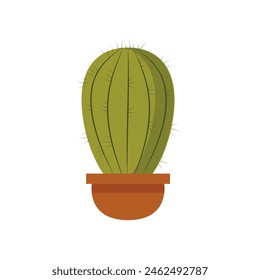 Round cactus in pot vector isolated illustration. Succulent for interior of office, apartment and premises. Houseplant with thorns hand drawn.