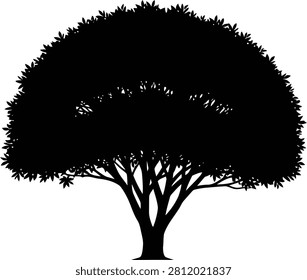 Round canopy tree silhouette with lush leaves and sturdy trunk