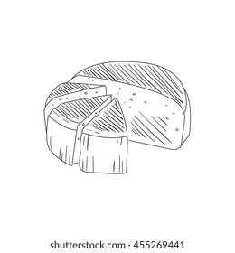 Round Cheese Cut In Segments Hand Drawn Realistic Sketch