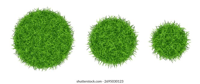Round circle green grass isolated. Vector